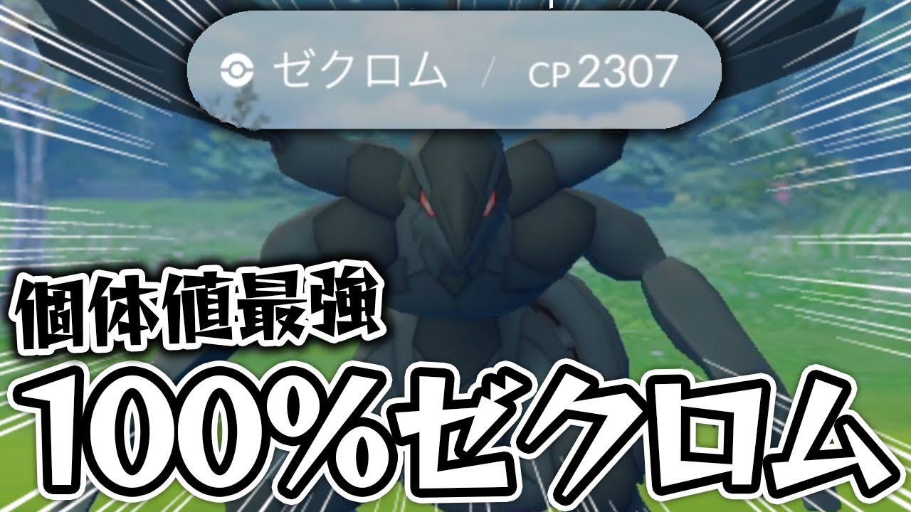 ゼクロム100%個体登場に緊張しまくる男【ポケモンGO】