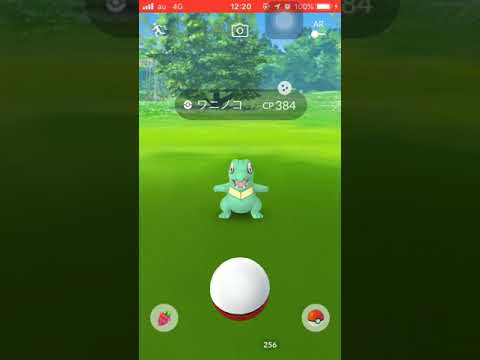 【ポケモンGO】 2019年1月のコミュニティデイ  色違いワニノコゲット