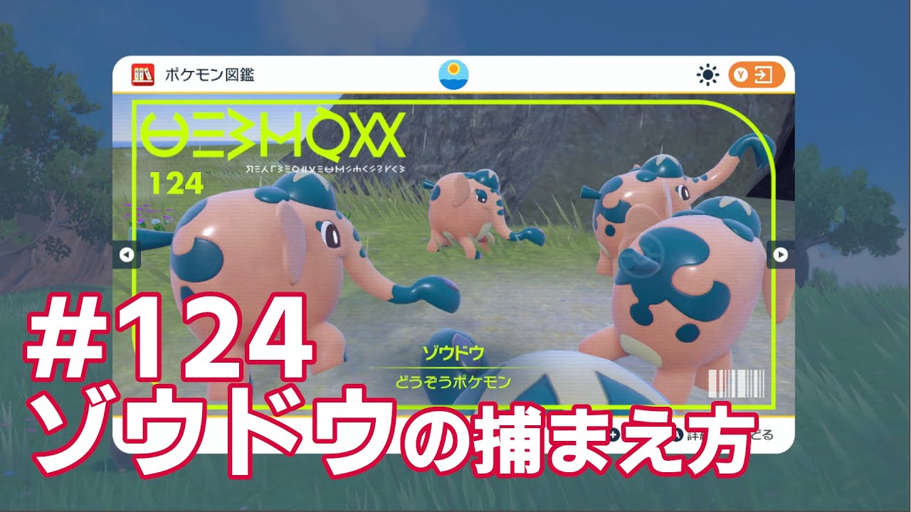 ゾウドウを探している方に見てほしい動画