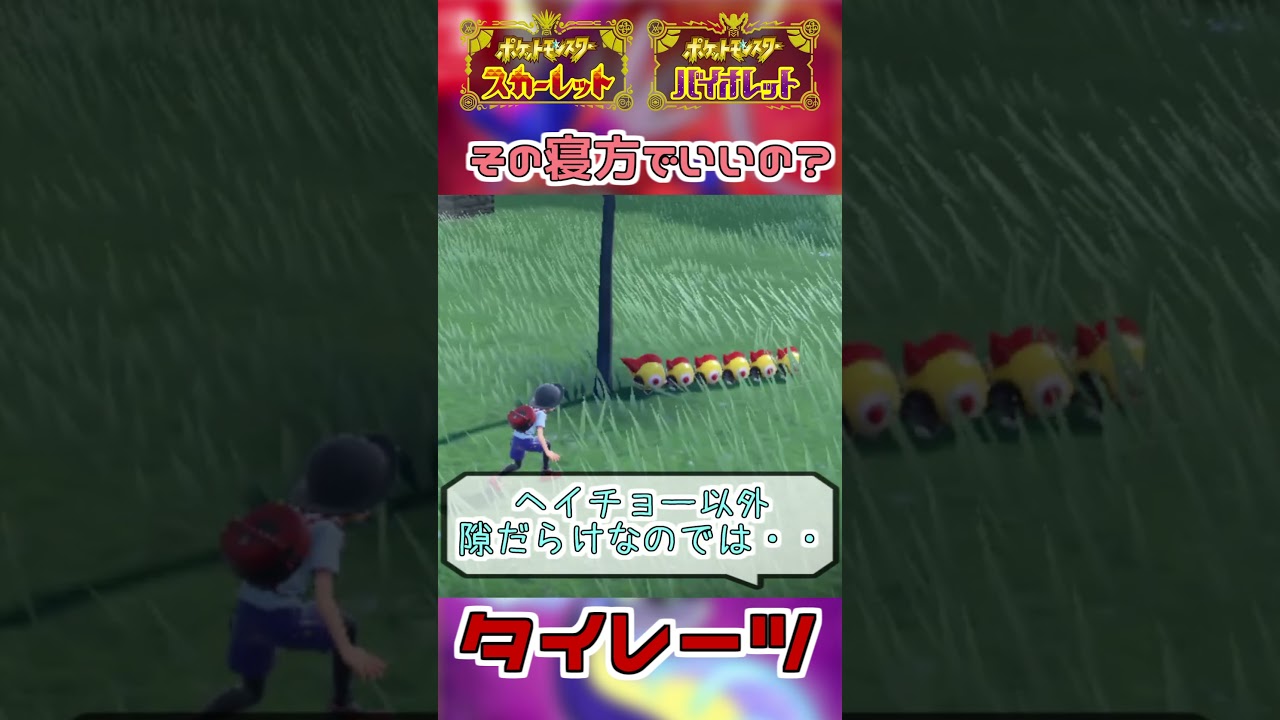結構隙だらけな寝方のタイレーツ【ポケモンSV】#shorts