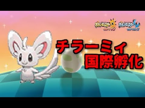 【ポケモンUSUM】チラーミィ国際孵化