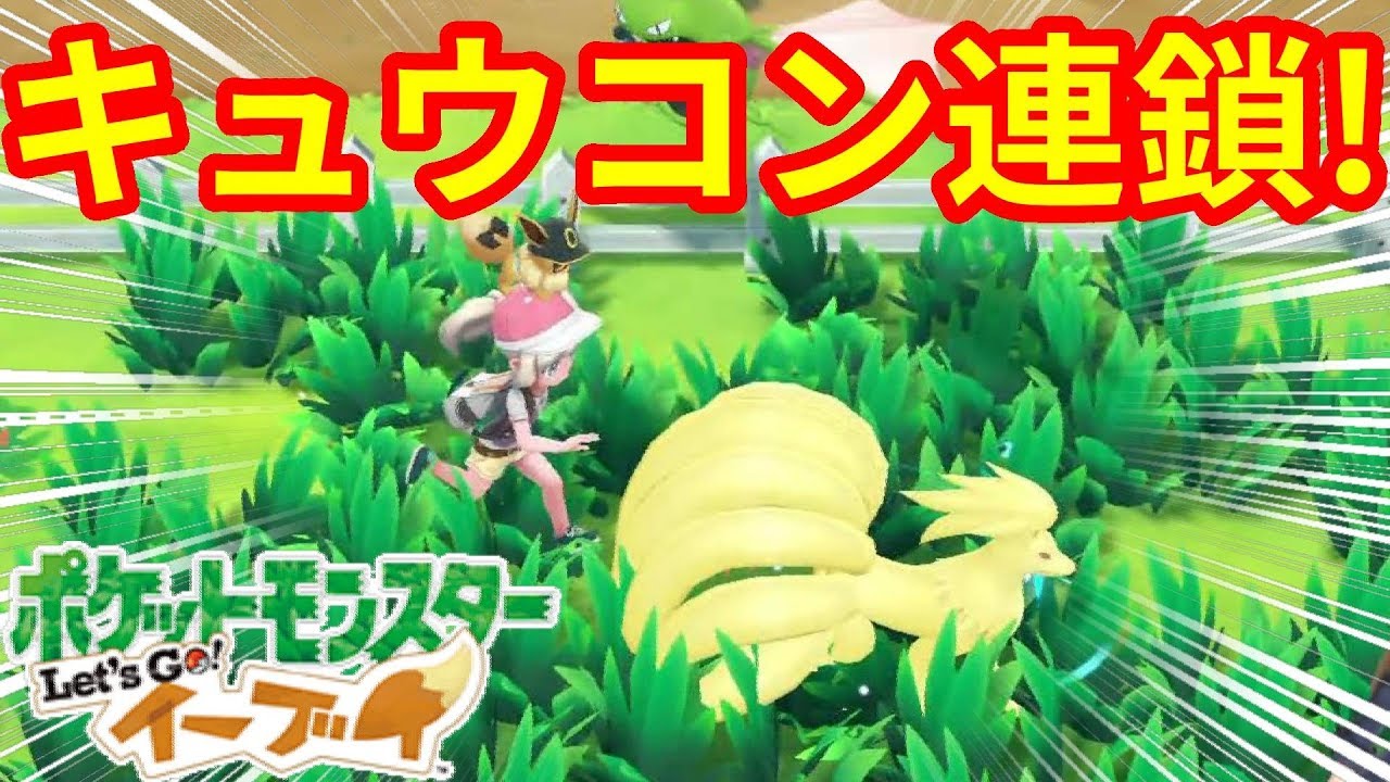 キュウコン出現率高い！？美しいイーブイ限定ポケモン【ポケモンLet'sGO！イーブイ】