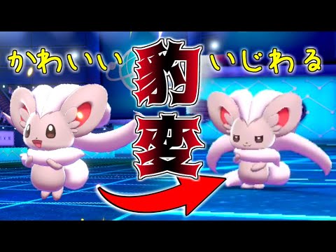 【豹変】かわいいチラチーノにいじめられました！！！【ポケモン剣盾】【ゆびラン】