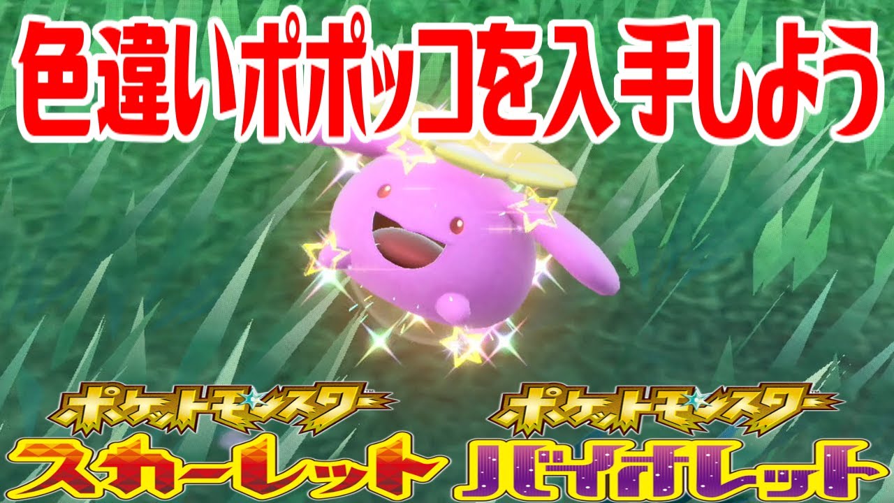 【ポケモンSV】色違いポポッコを入手しよう【ポケットモンスター スカーレット・バイオレット】Pocket Monsters