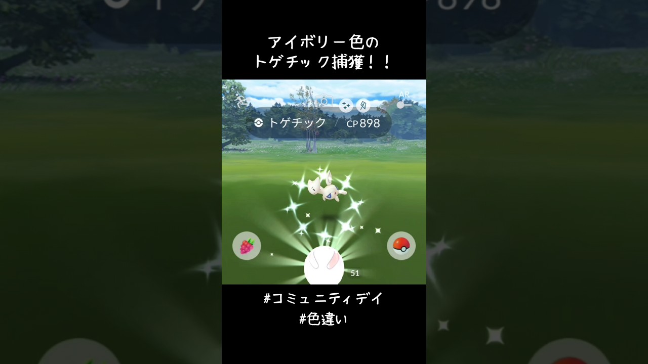 アイボリー色のトゲチック捕獲✨✨✨かわいい😍#ポケモンGO #コミュニティデイ #色違い