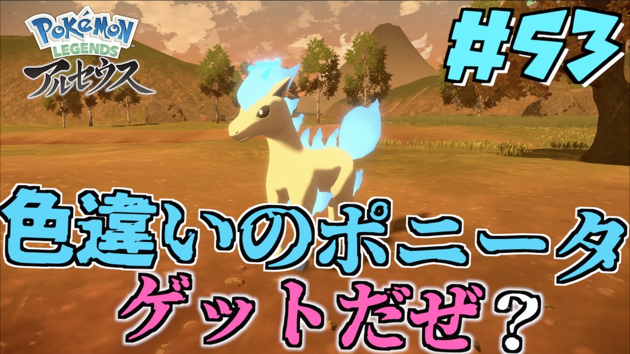 おかしなポニータ発見！！蒼炎のポニータかっこいいいい＃５３【Pokémon LEGENDS アルセウス】
