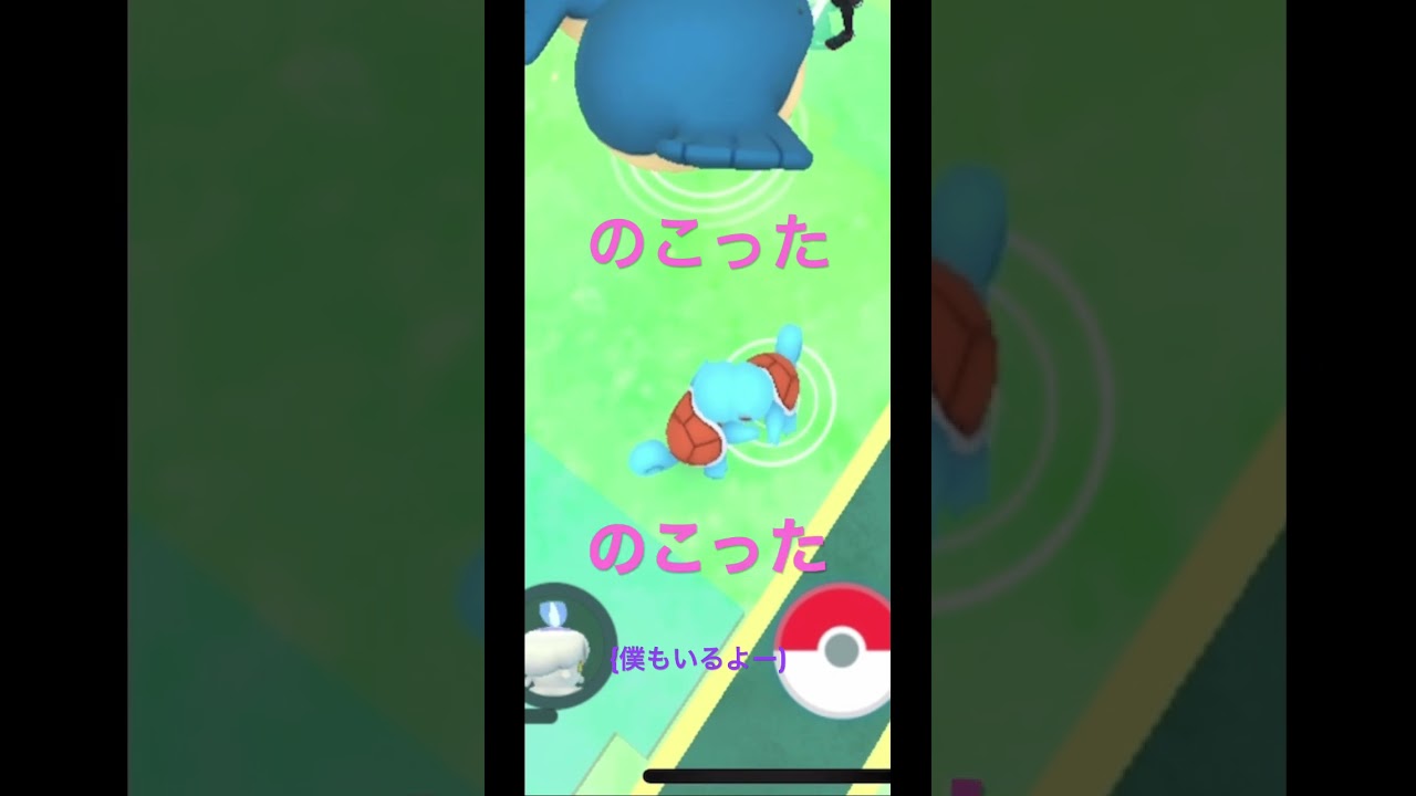 ゼニガメに目覚めそう🫶🏻💕