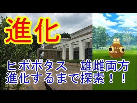 【ポケモンGO】ヒポポタス進化するまで探索【Pokemon GO】Hippotas explore until evolution