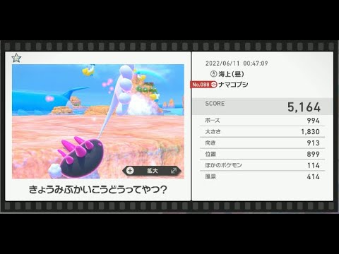 Newポケモンスナップ　★1ナマコブシ【5164】