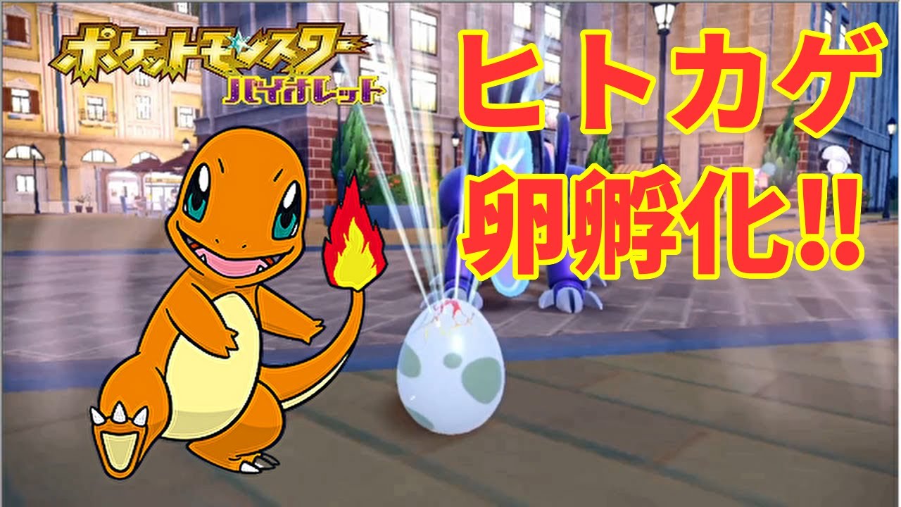 【ポケモンSV】ヒトカゲ卵孵化仕方