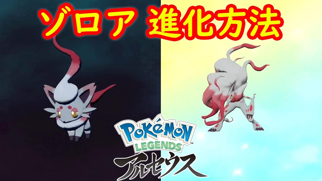 【ヒスイ ゾロア → ゾロアーク】進化方法 攻略  【Pokémon LEGENDS アルセウス ポケモン レジェンズ アルセウス】