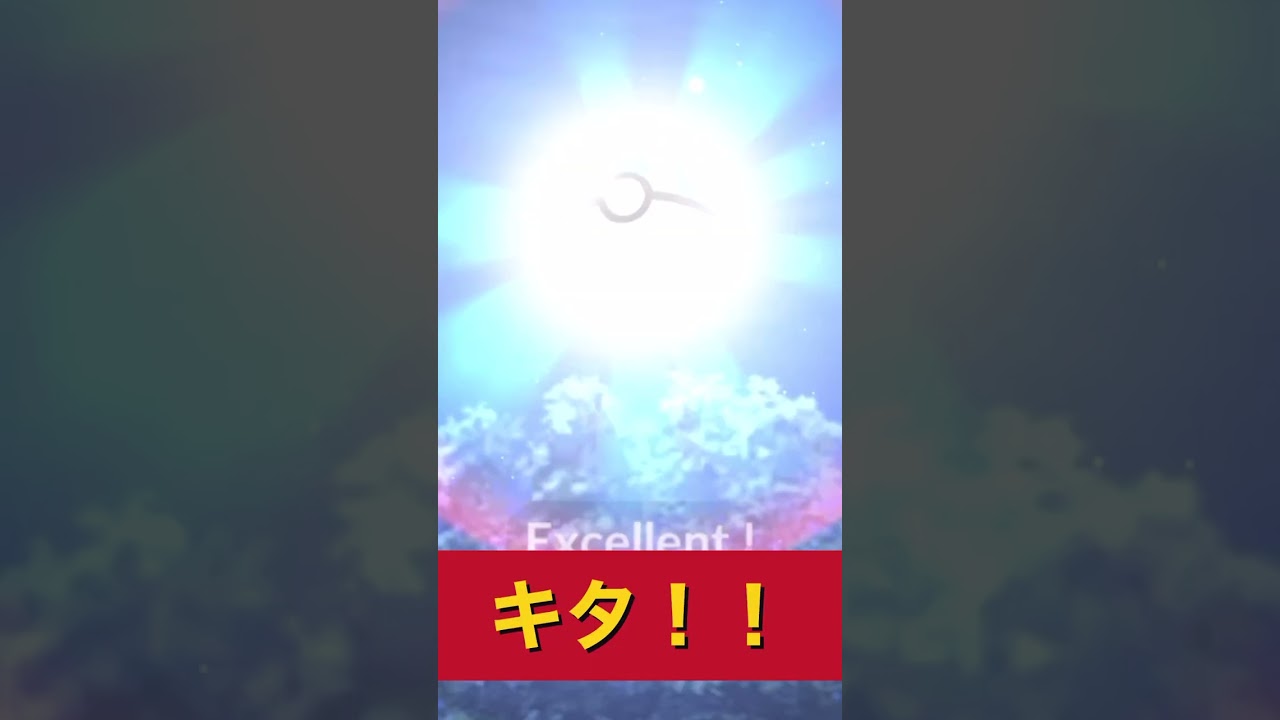 ガラル三鳥　ポケモンgo ガラルファイヤーにエクセレントを決める　結果は？#pokemon  #Galar Three Birds