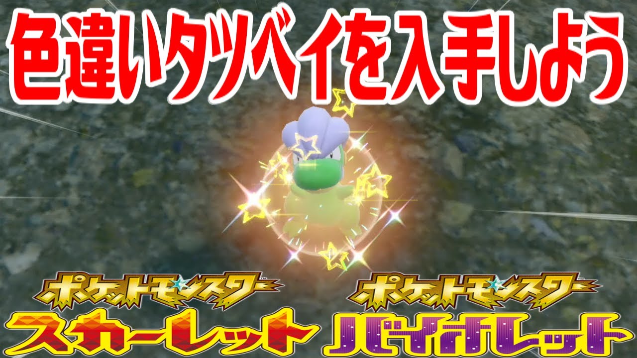 【ポケモンSV】色違いタツベイを入手しよう【ポケットモンスター スカーレット・バイオレット】Pocket Monsters