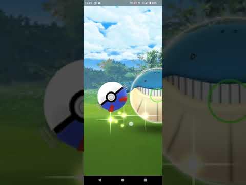 【ポケモンGO】ホエルコGET！
