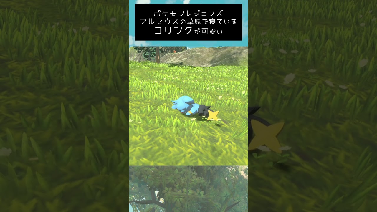 草原で眠るコリンクが可愛い【ポケモンレジェンズアルセウス】