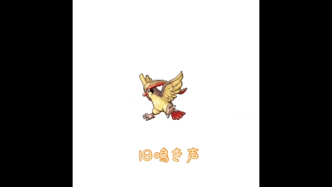 ピジョット　旧鳴き声 #pokemon