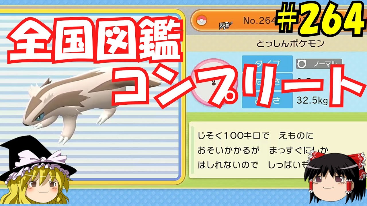 【毎日投稿】1日1匹ぜんこく図鑑登録 #マッスグマ【ゆっくり実況】