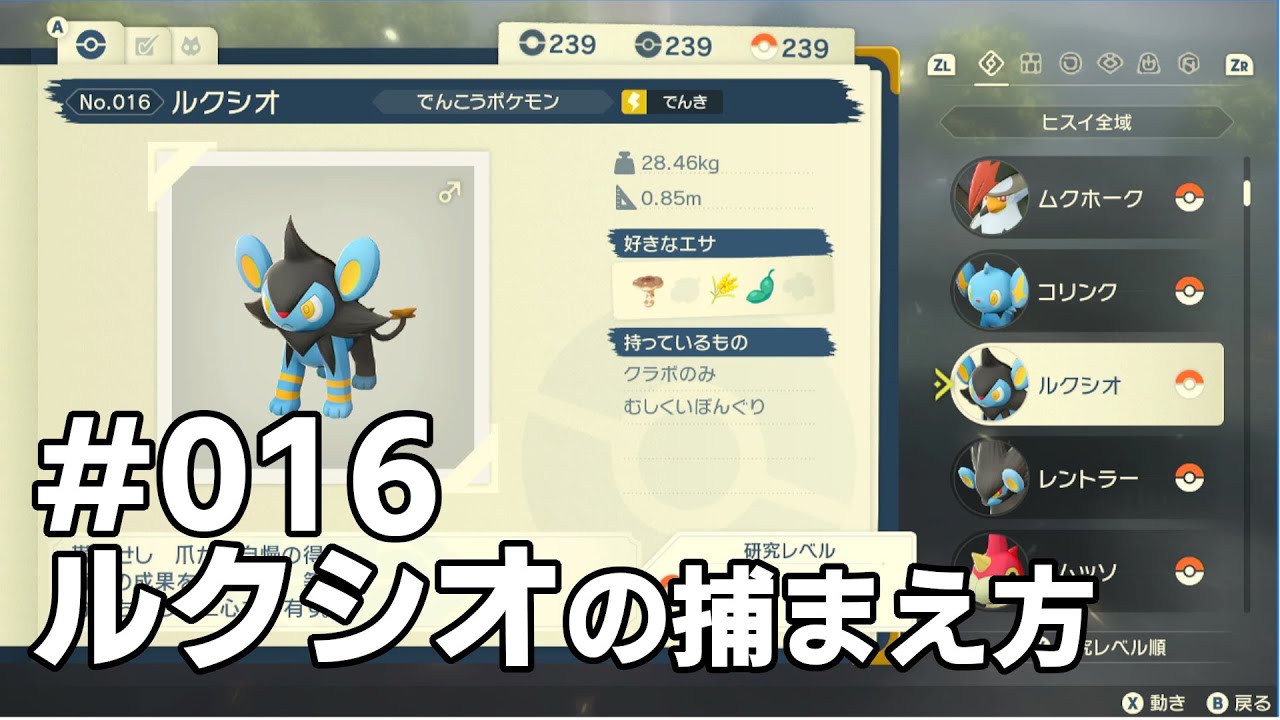 ルクシオを探している方に見てほしい動画
