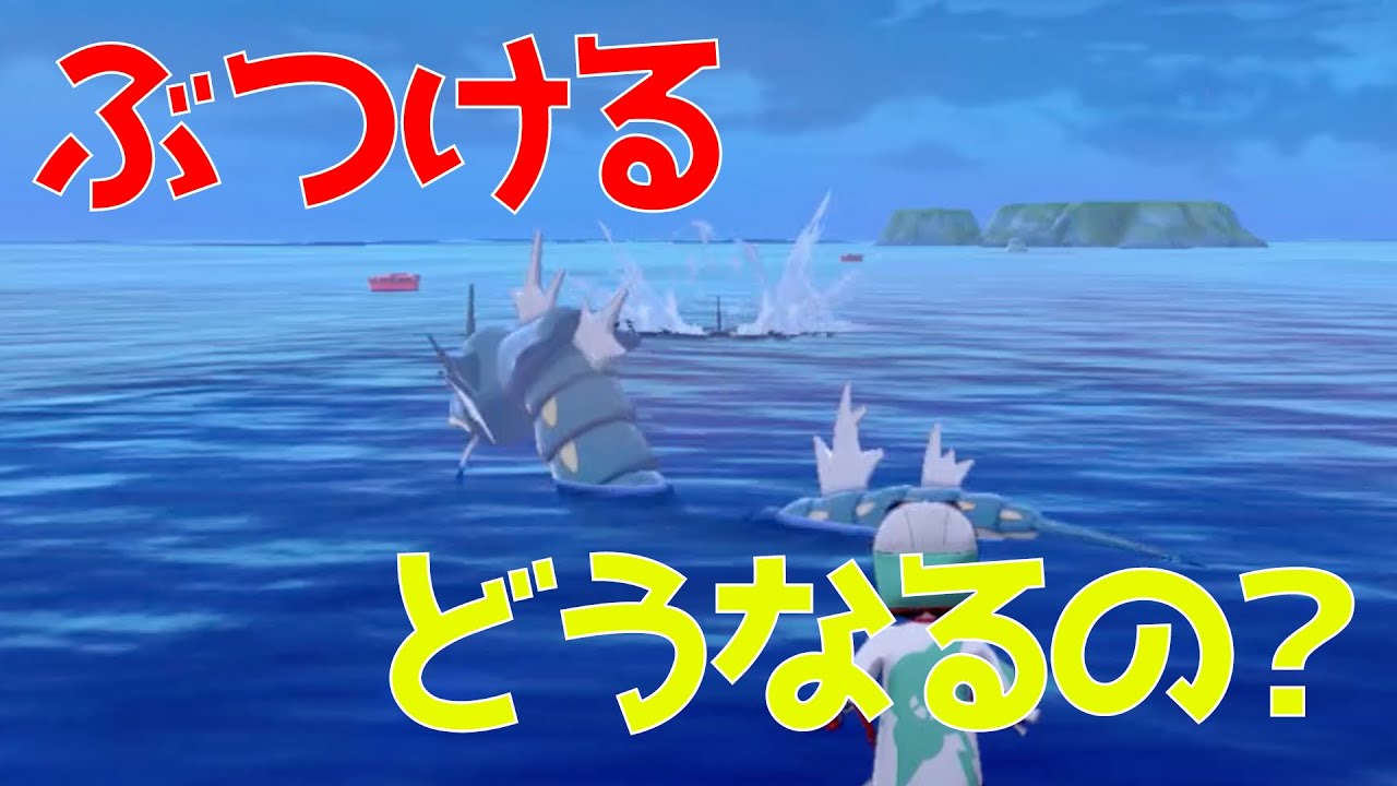 【ポケモンソードシールド】サメハダーの色々な避け方試してみた。効果的な避け方はこれです！！