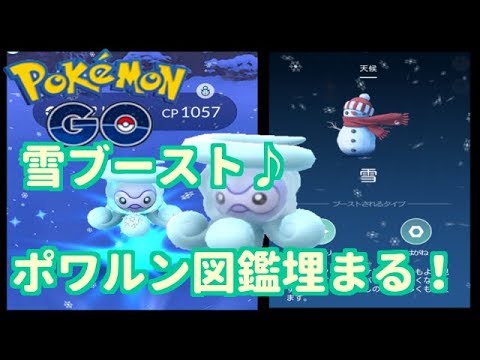 【ポケモンGO】念願の雪‼雪ブーストでポワルン4種揃った！【PokemonGO】