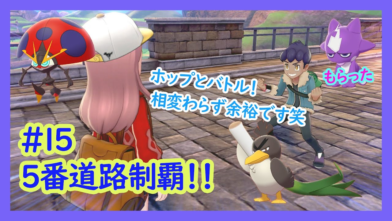 ～ポケモン剣～#15 5番道路制覇‼