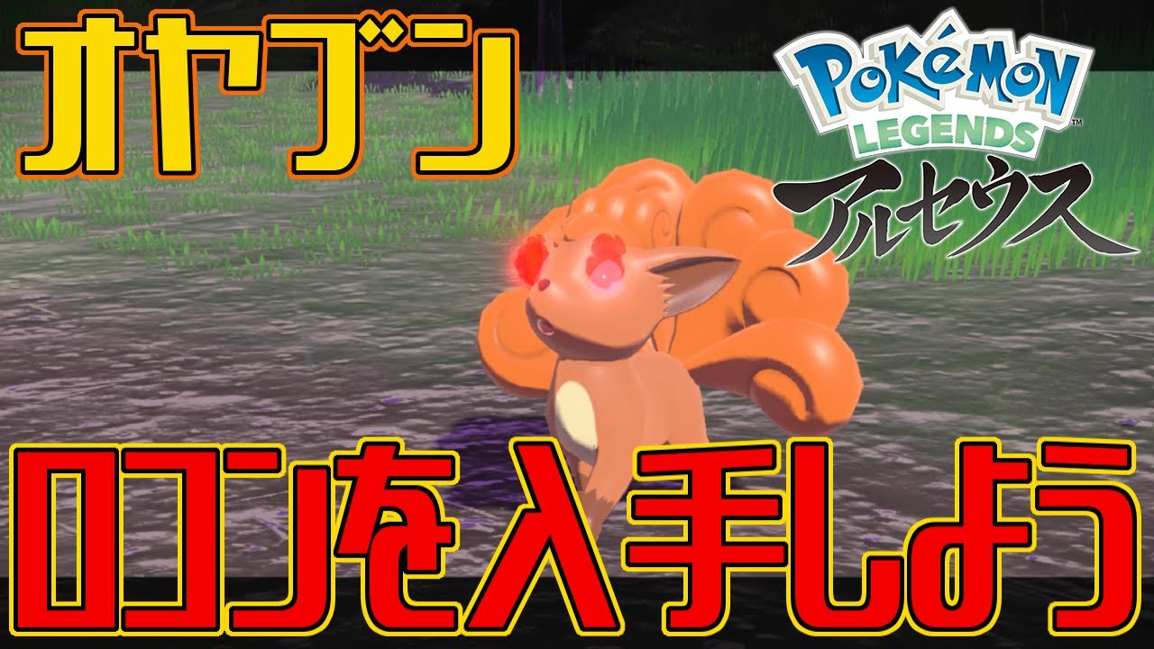 【ポケモンアルセウス】オヤブンのロコンを入手しよう【Pokémon LEGENDS アルセウス】