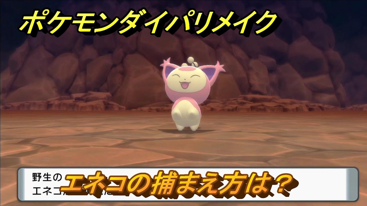 ポケモンダイパリメイク　エネコの捕まえ方は？出現場所は？　最新版【ブリリアントダイヤモンド・シャイニングパール】