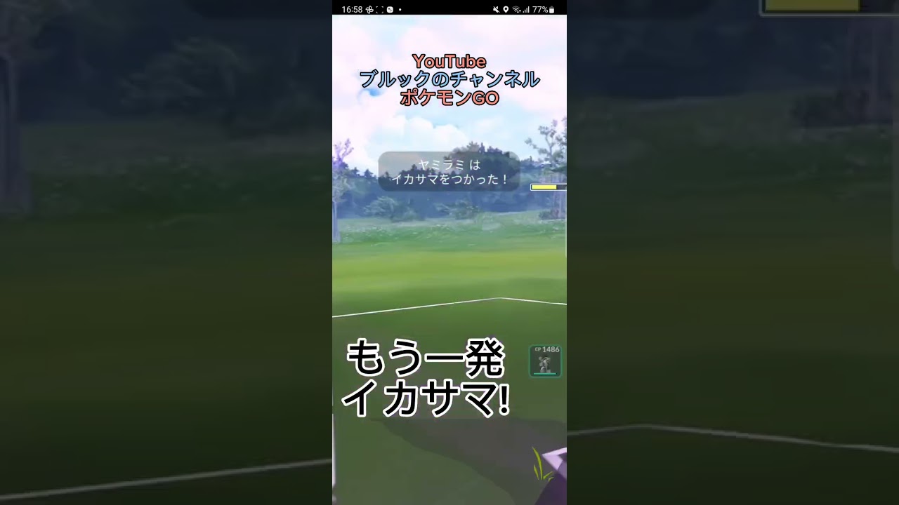 タチフサグマ　ゴースト2枚❗❗（出し勝ち編）【ブルックのチャンネル】 #shorts