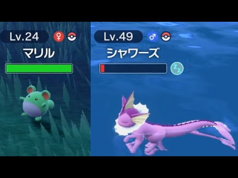 シャワーズ大量発生ポケモンSV色違い入手マリル水かがやきパワー料理食べた実況