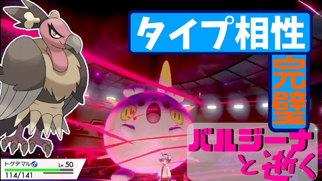 【ポケモン剣盾】バルジーナとトゲデマルは相性最高!!!タイプ補完が完璧!!組み合わせたらどっちも大活躍!?!?バルジーナと逝く。09【ソードシールド】