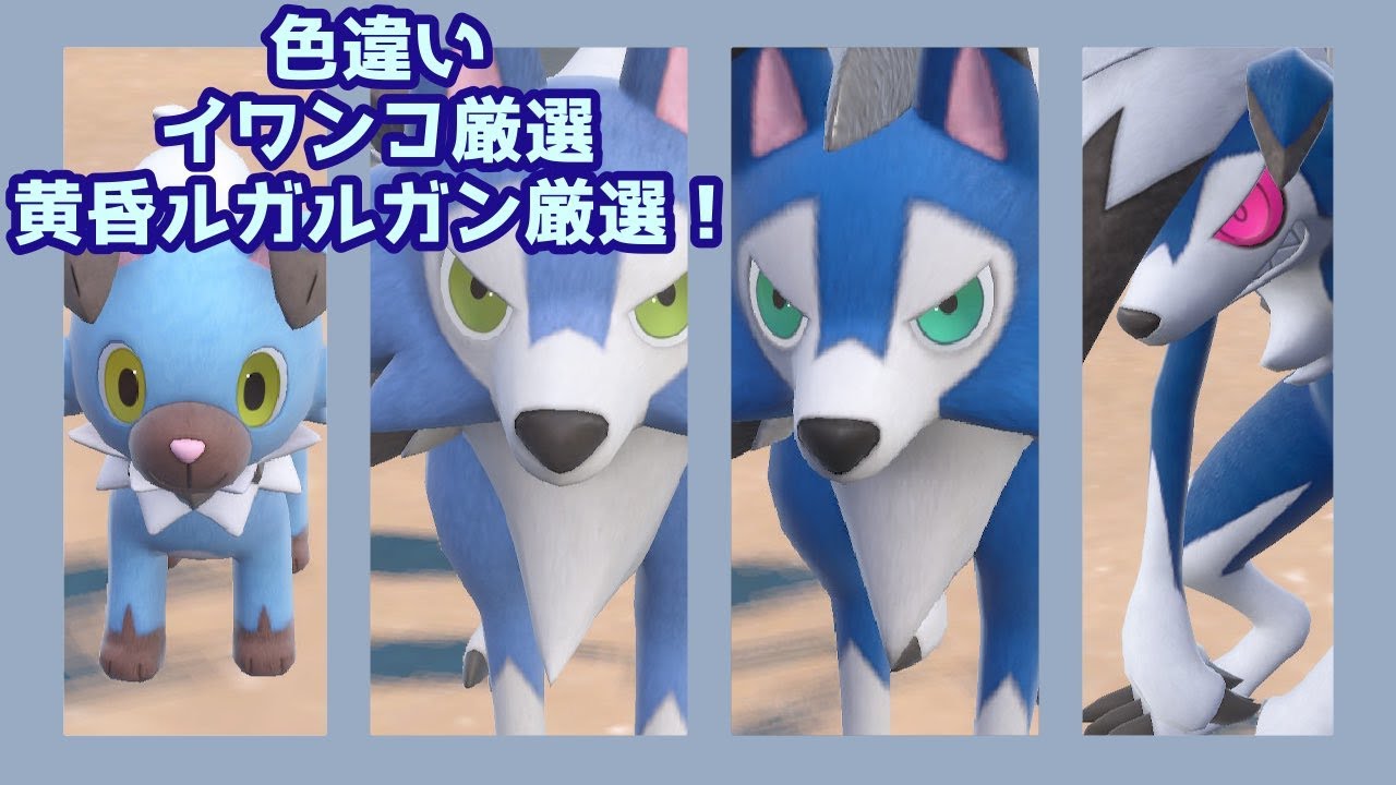 【ポケモンSV】色違いイワンコ＆黄昏ルガルガン厳選【ゆっくり実況】