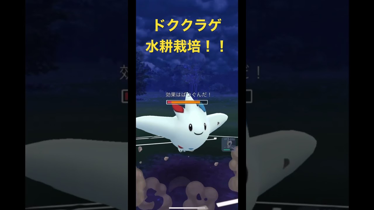 ドククラゲで水耕栽培！！