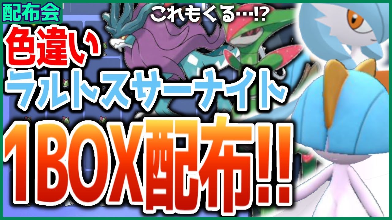 色違いラルトス・サーナイト１BOX配布！ウネルミナモ・テツノイサハも抽選予定！！概要欄必読！！ 【ポケモンSV スカーレット バイオレット】