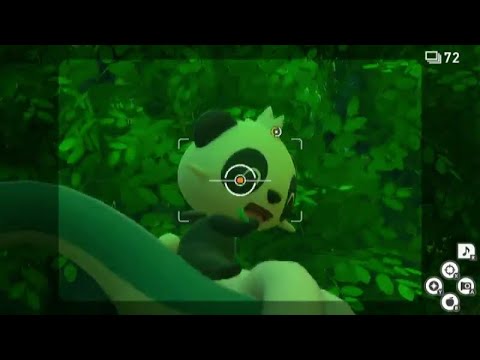 星4ヤンチャム　4795点