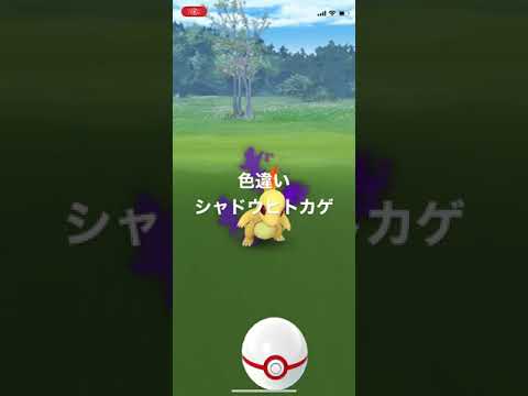 ポケモンGO 色違いシャドウヒトカゲ出現！