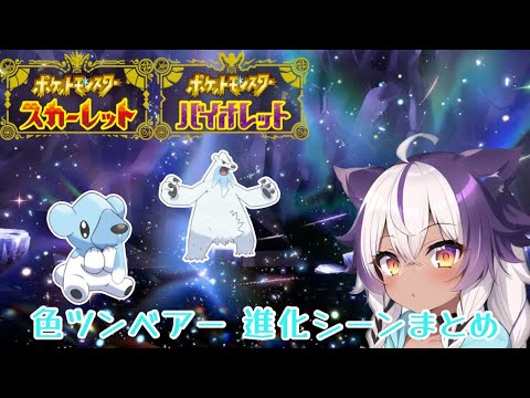 【ポケモンSV】色違いクマシュン → ツンベアー【ポケットモンスタースカーレットヴァイオレット】