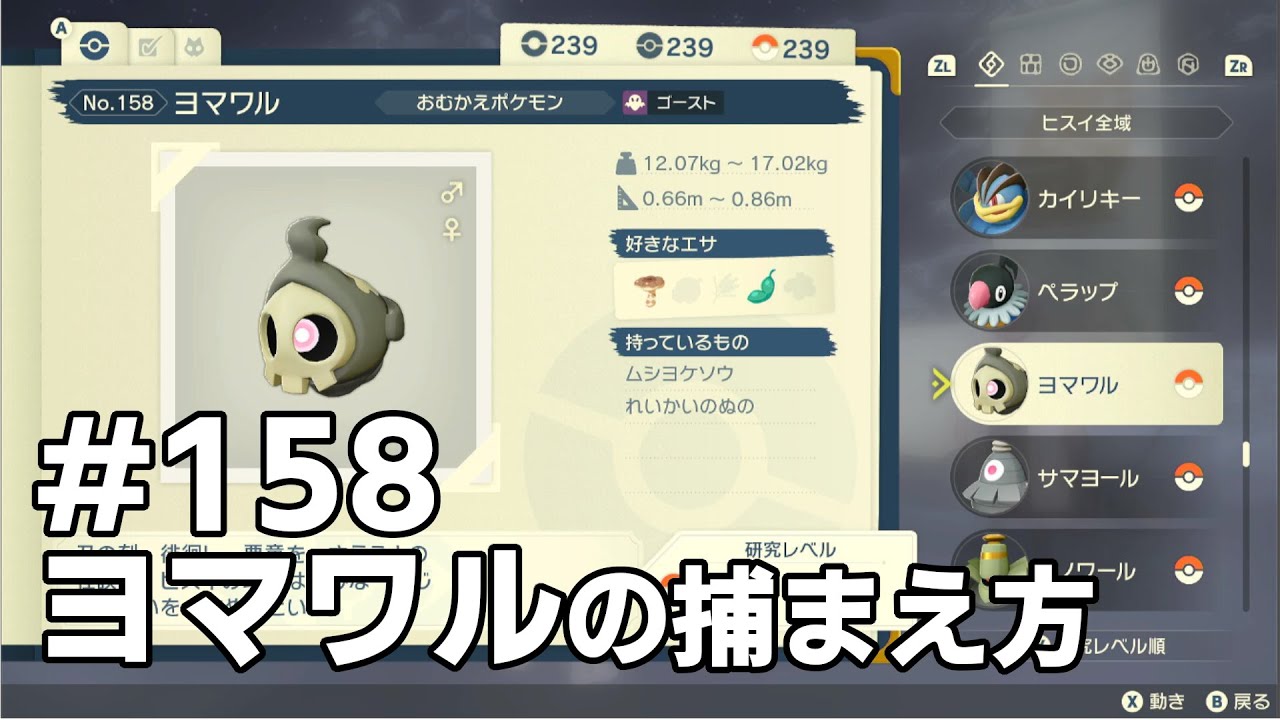 ヨマワルを探している方に見てほしい動画