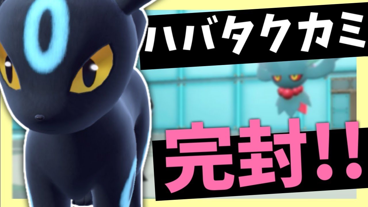 【ハバタクカミ対策】こだわりアイテム持ちにめっぽう強い！ブラッキーとドヒドイデのコンビなら勝てます！【ポケモンスカーレット・バイオレット/SV】