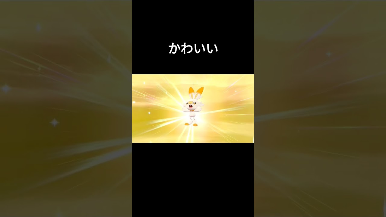 【ポケモン剣盾】色違いヒバニー誕生シーン