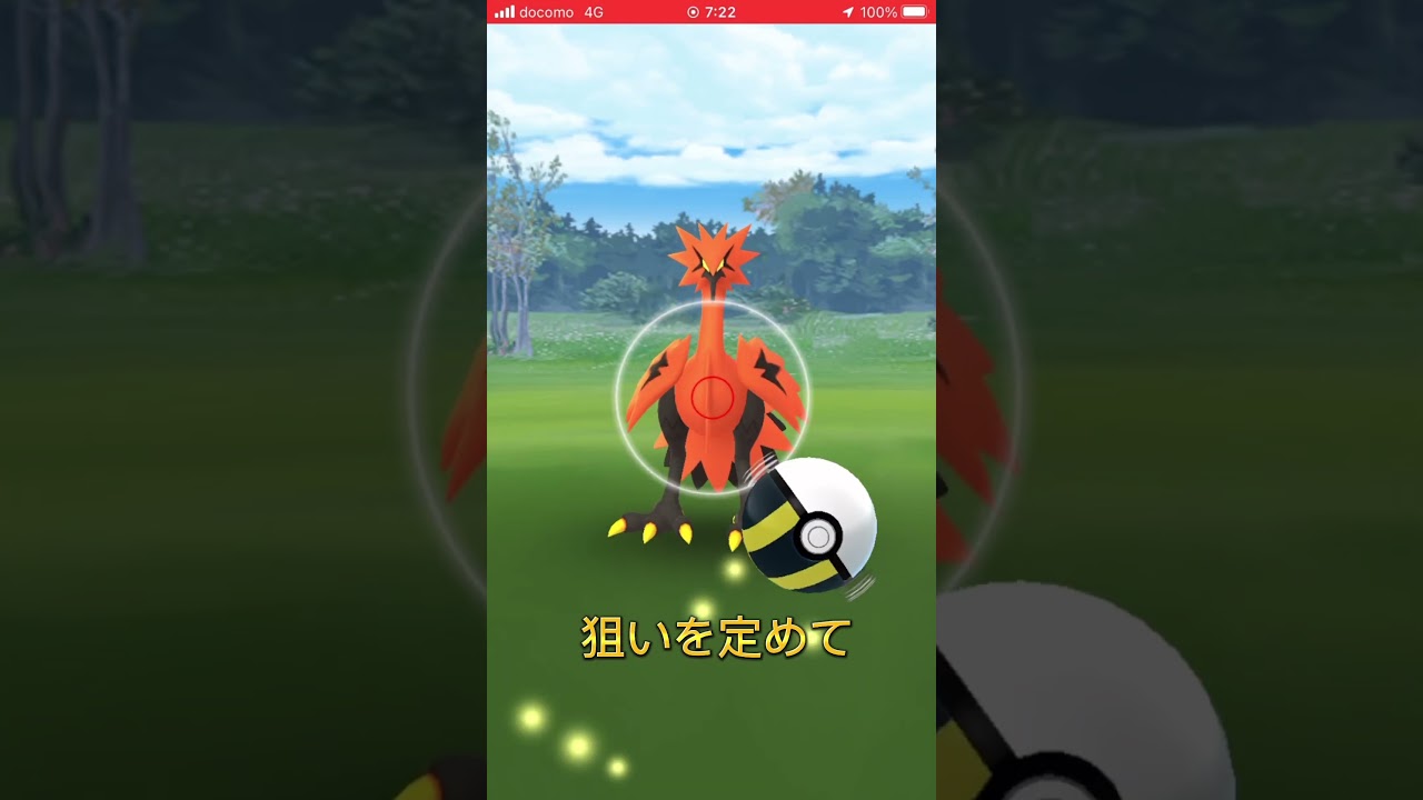 ガラルファイヤー遭遇から1週間でガラルサンダー降臨⁉️