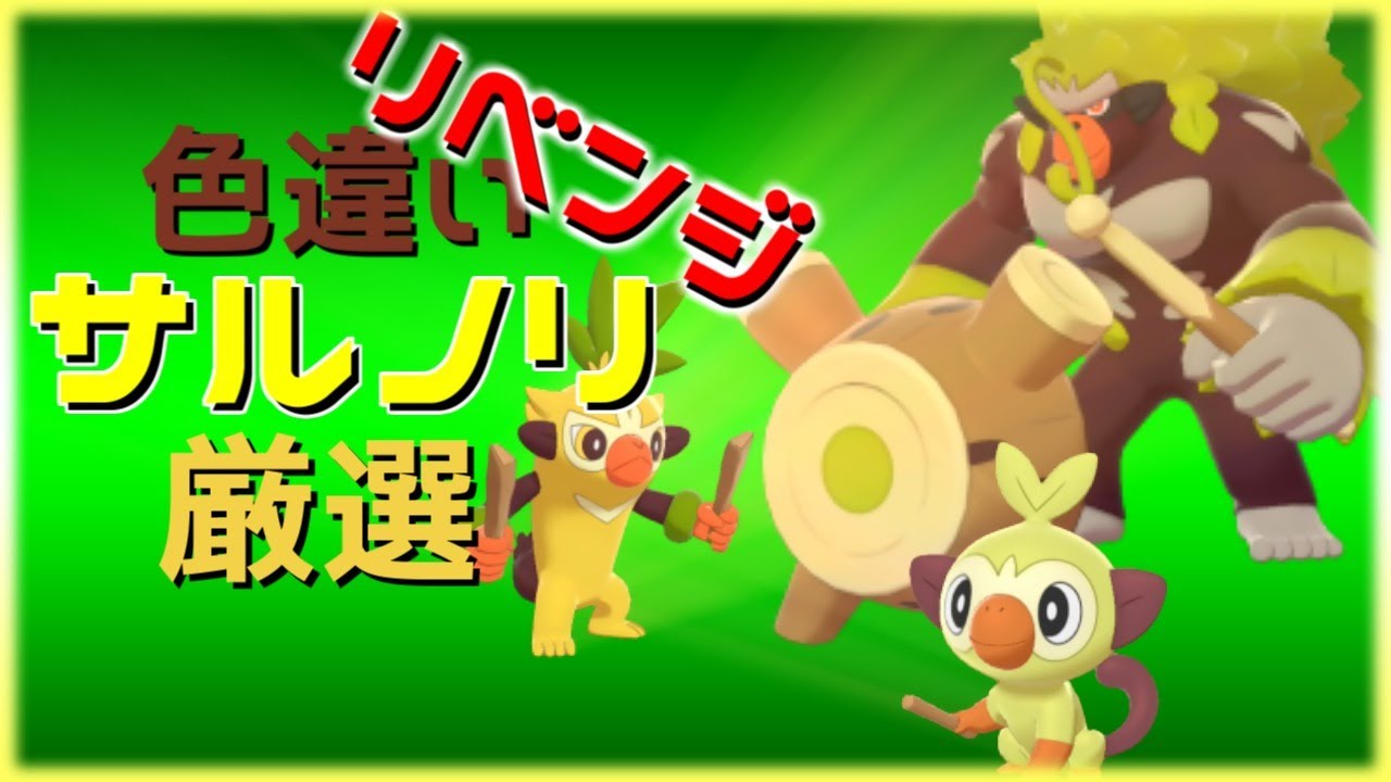 【ポケモン剣盾】リベンジ！夢特性サルノリ色違い厳選700～※気まぐれで配布あり【概要必読】