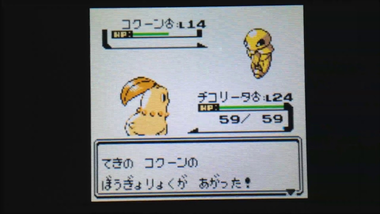 色チコリータ1匹の旅～009ヒワダジム ツクシ戦リベンジ～【ポケモン金VC】