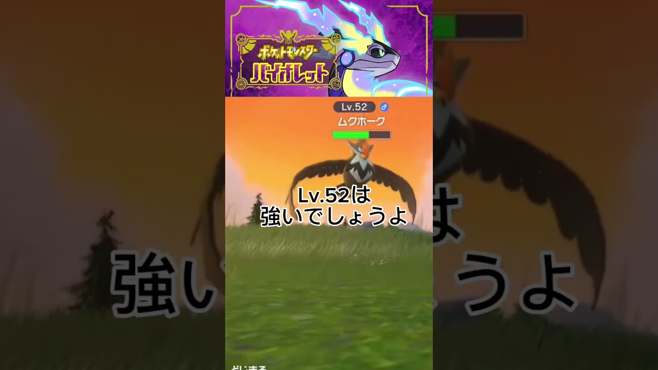 【ポケモンSV】ムクホークぱいせんはスタメンですっ！