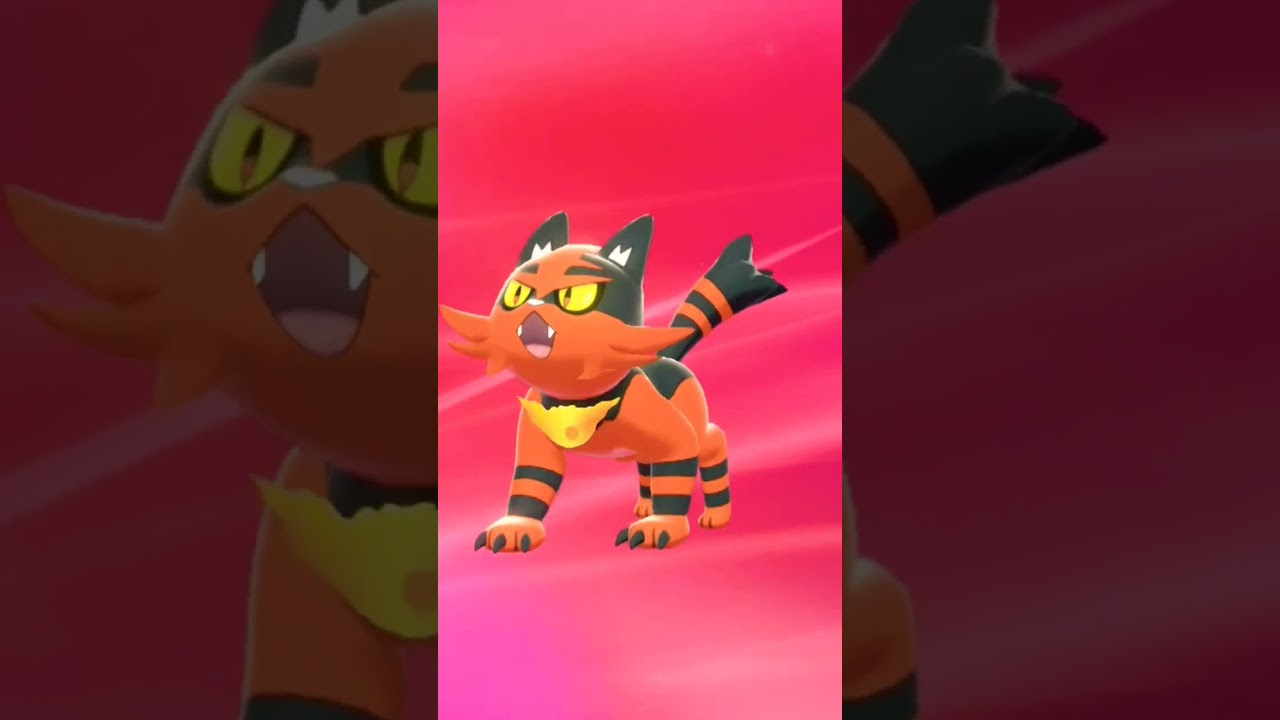 ニャビー進化😻🔥【炎の猫】ニャオハと違う💕