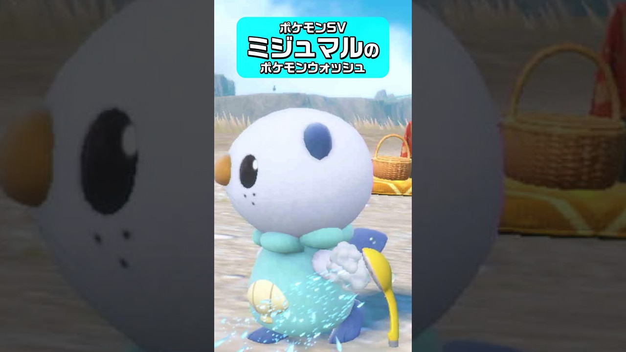 【癒し？】ミジュマルのポケモンウォッシュ【ポケモンSV】 #Shorts