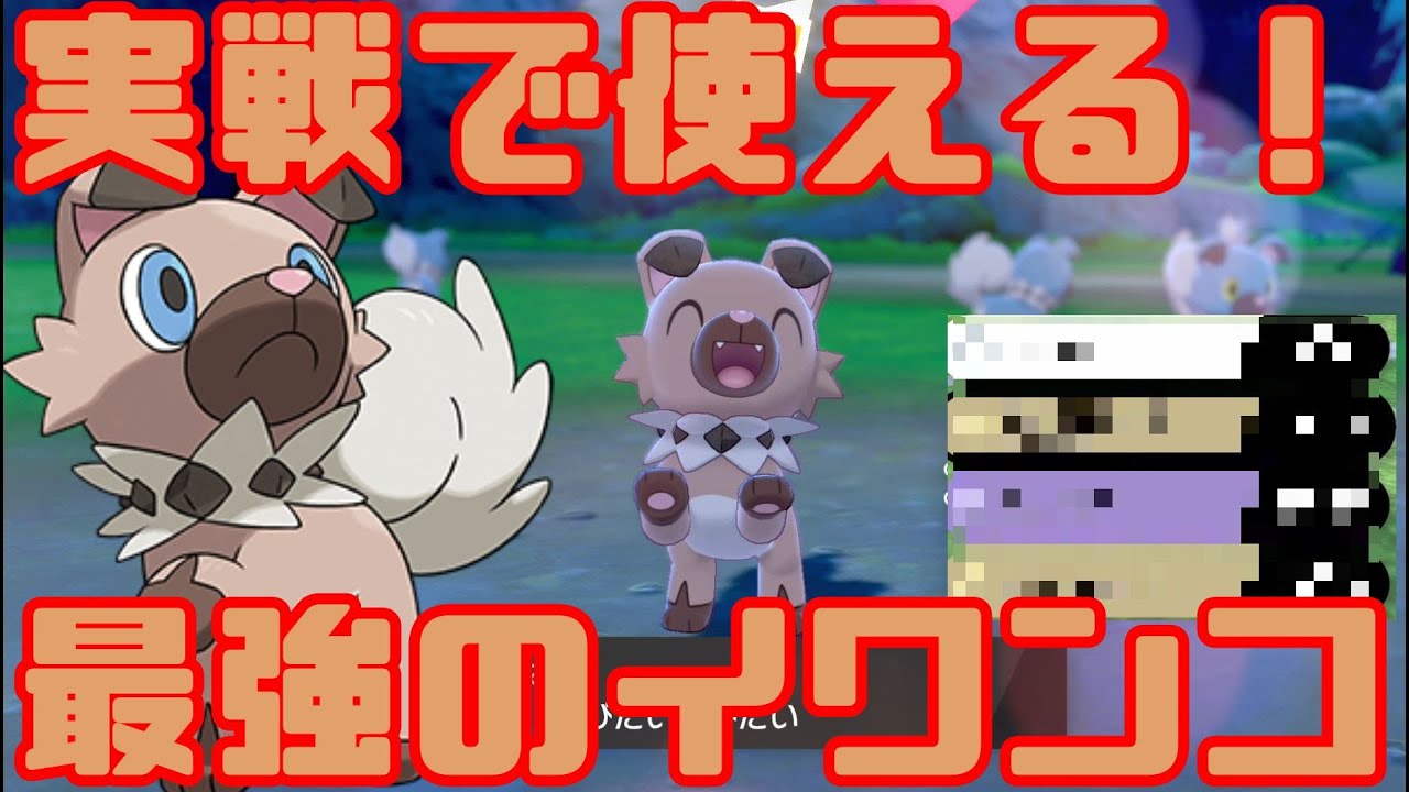 実戦で使えるI最強のイワンコ！【ポケモン剣盾】