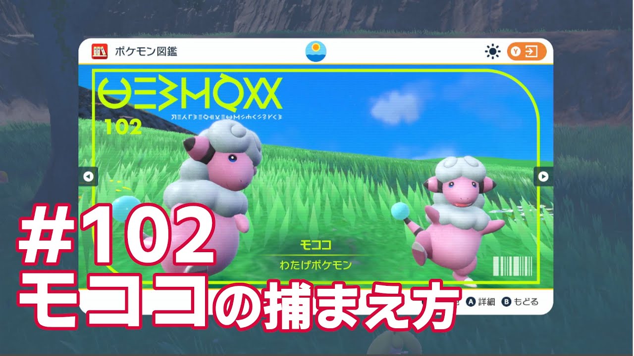 モココを探している方に見てほしい動画