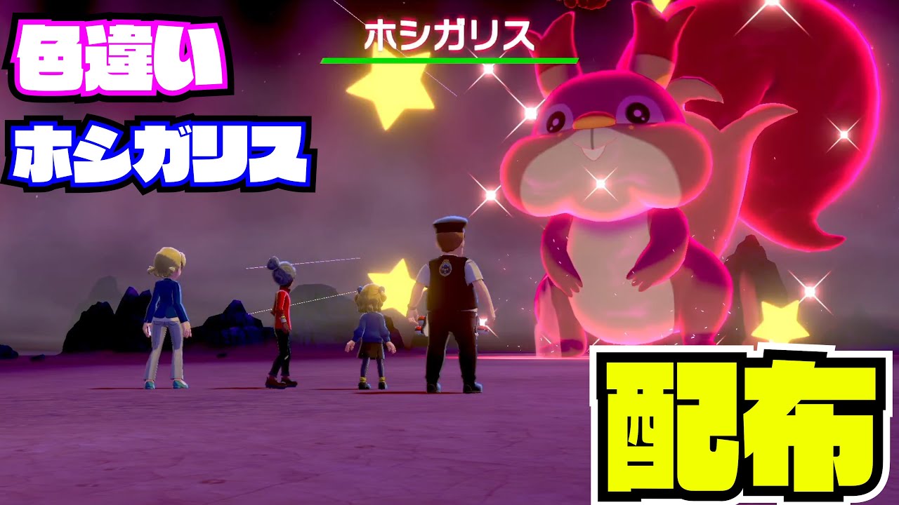 22：00～1時間【ポケモン剣盾】色違い! ホシガリス！配布 nintendo switch【 27ch 】