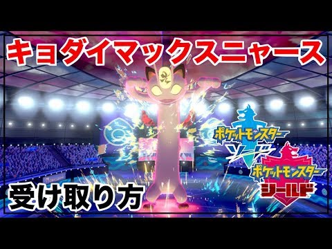 金策に大活躍！キョダイマックスニャースの入手方法【ポケモン剣盾】