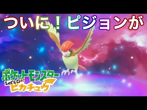 Let's Go!ピカチュウ#18 ピジョンが進化！グリーンとポケモン勝負⁉︎